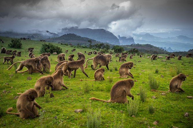 Day trek to Simien Mountain - Entering the park at Buit Ras