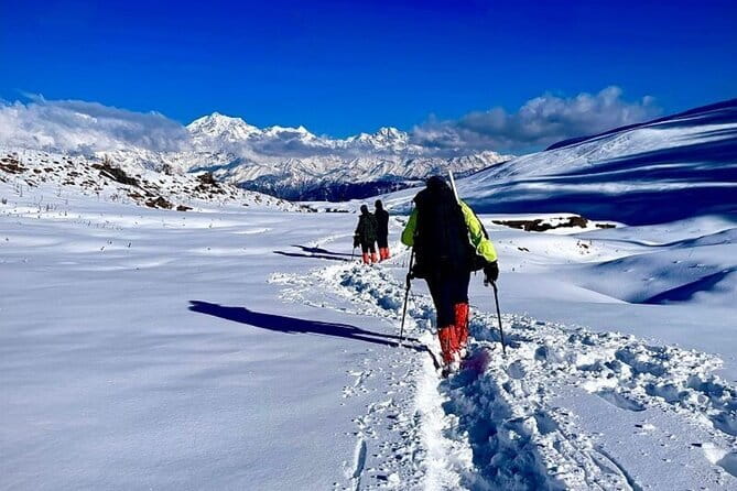 Dayara Bugyal and Surya Top Trek - Day 3: The 12-kilometer walk to Dayara Top