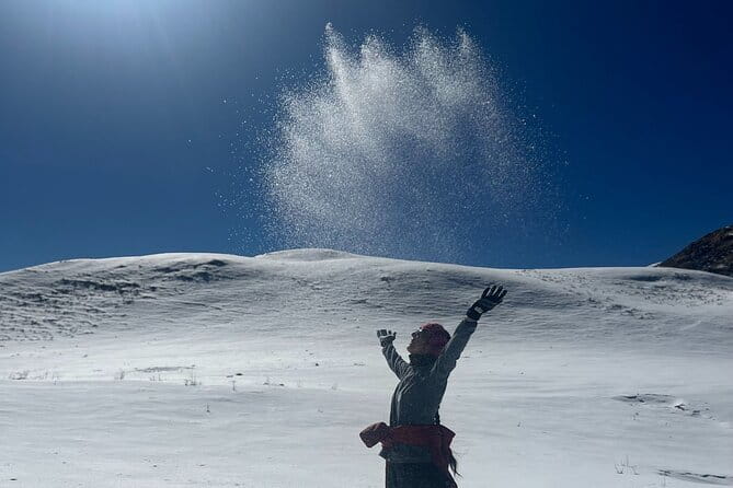 Dayara Bugyal and Surya Top Trek - Booking details worth checking before you go