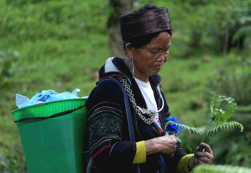 Discover Sapa: 2D1N Trekking Adventure & Cozy LaLa Homestay - What the guides add to the route