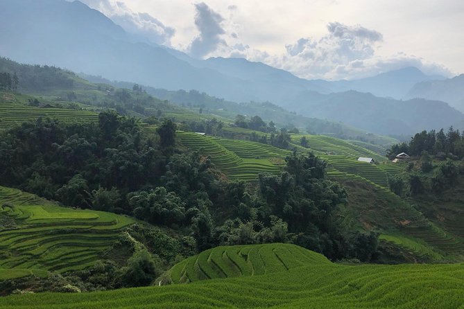 Discover the Beauty of Sa Pa: A One-Day Trek - Why Muong Hoa Valley is the reason to go