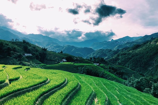 Discover the Beauty of Sa Pa: A One-Day Trek - Ta Van: a quieter finish beside the streams