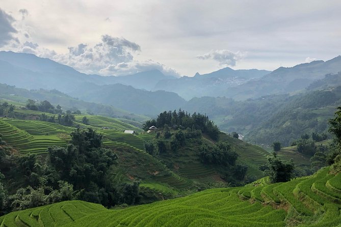 Discover the Beauty of Sa Pa: A One-Day Trek - What lunch and transport add to the $19 price