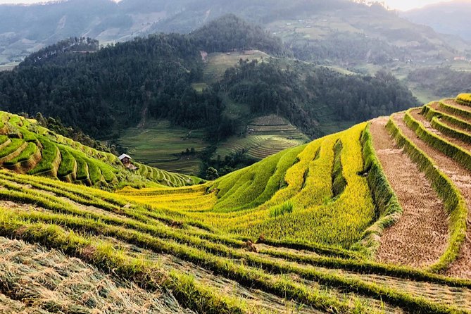 Discover the Beauty of Sa Pa: A One-Day Trek - Rain, fog, and the real level of difficulty