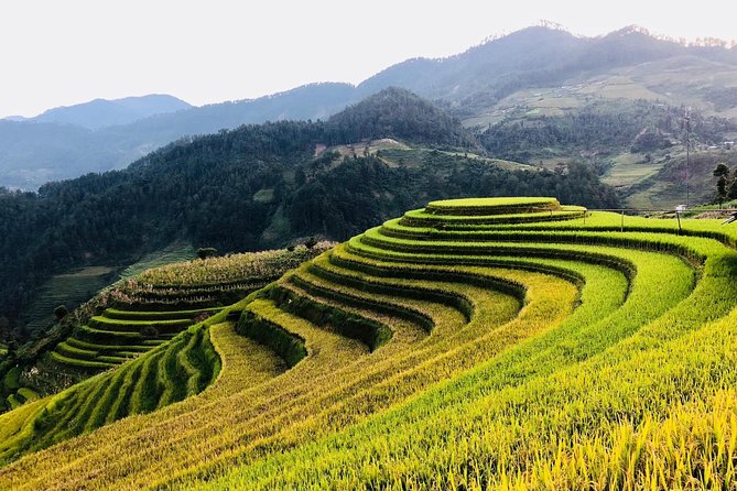 Discover the Beauty of Sa Pa: A One-Day Trek - Who should book this Sa Pa trek
