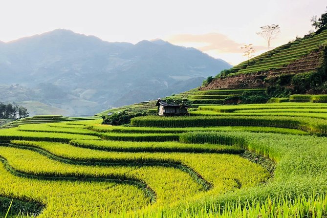 Discover the Beauty of Sa Pa: A One-Day Trek - Y Linh Ho: the first hour among rice terraces