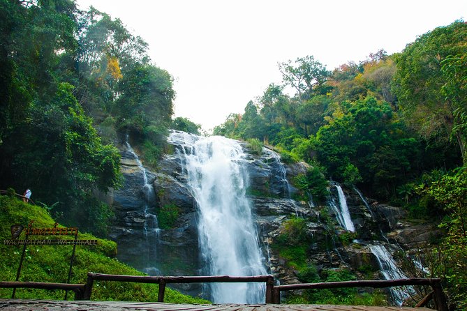 Doi Inthanon National Park with Nature Trail Trekking 1-Day Tour - What the forest walk is really like