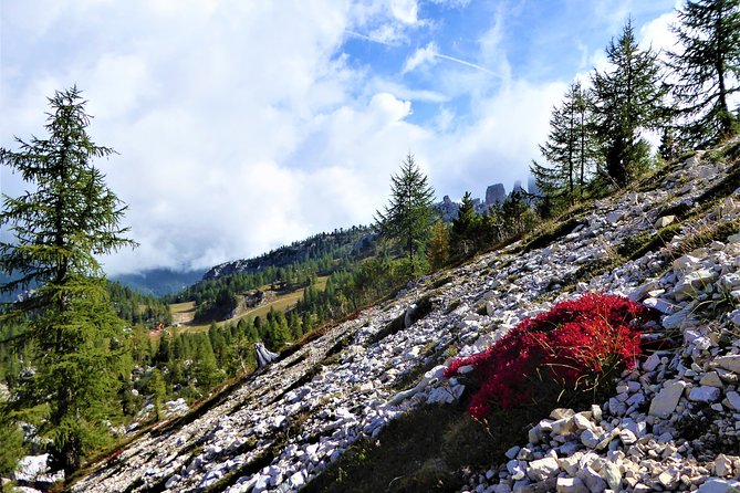 Dolomites Trekking Experience - Tre Cime and Drei Zinnen National Park