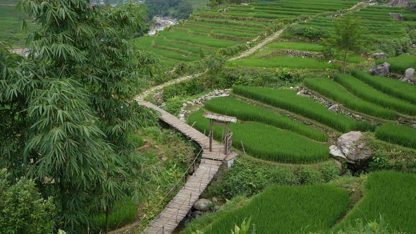 Easy Trek in Sapa mountain : Y Linh Ho - Lao Chai - Ta Van - Why this Sapa trek is worth your time