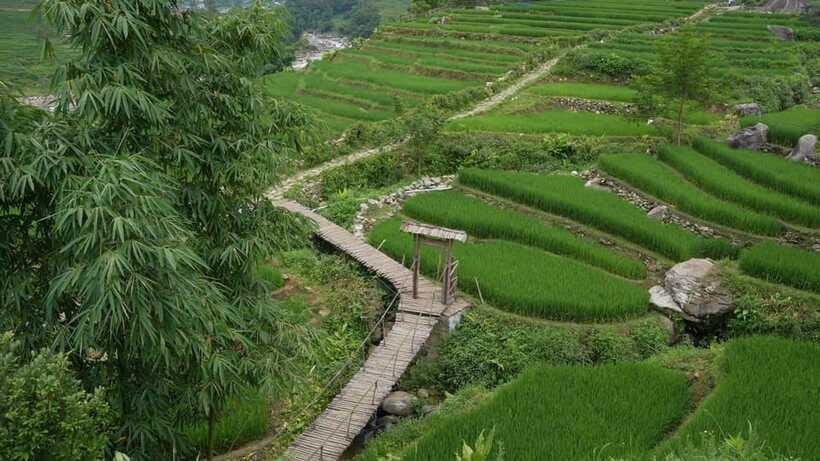 Easy Trek in Sapa mountain : Y Linh Ho - Lao Chai - Ta Van - Is the route really easy?