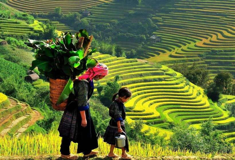 Easy Trek in Sapa mountain : Y Linh Ho - Lao Chai - Ta Van - The 9:00 pickup and short ride from Sapa