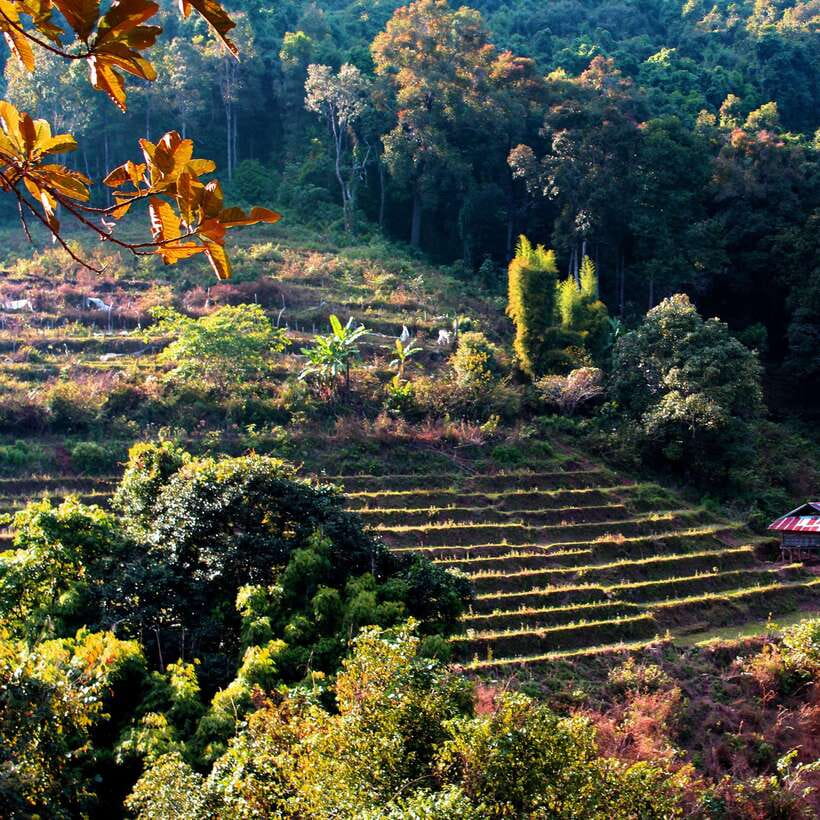 Eco-Friendly: Doi Inthanon & Pha Dok Siew Trekking Day Trip - Reaching Thailand’s highest point