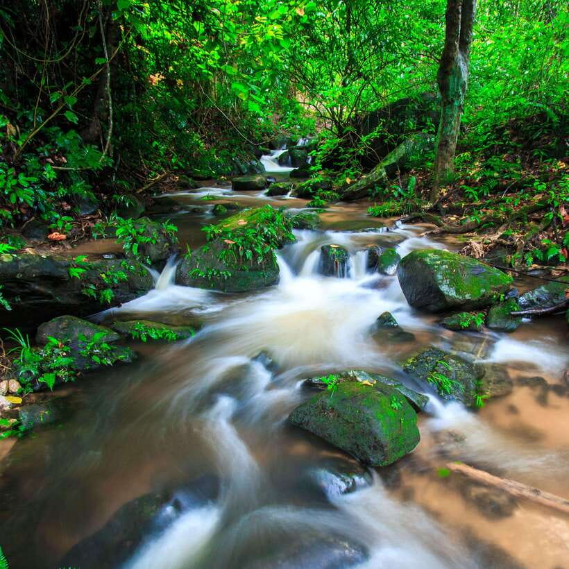 Eco-Friendly: Doi Inthanon & Pha Dok Siew Trekking Day Trip - A short look at the Hmong Market