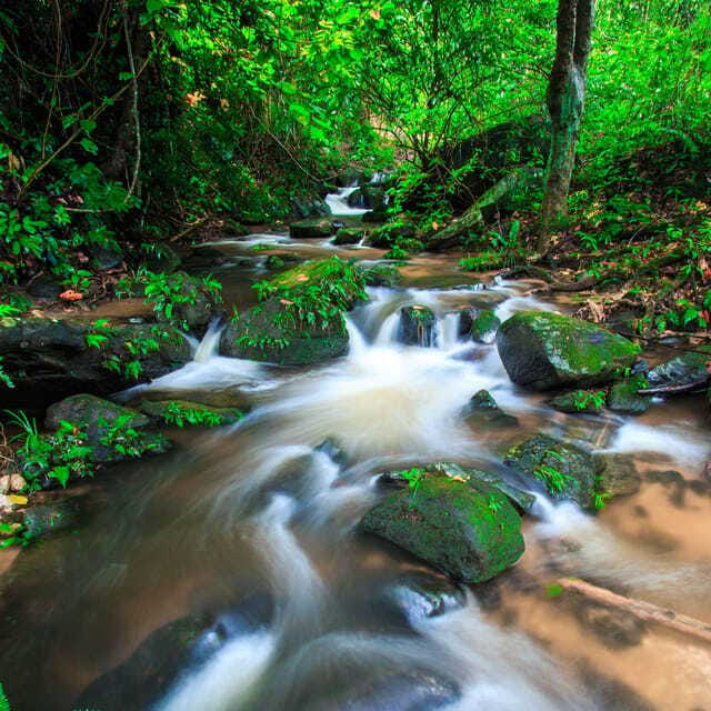 Eco-Friendly: Doi Inthanon & Pha Dok Siew Trekking Day Trip - Lunch and the White Karen village