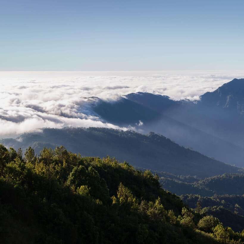 Eco-Friendly: Doi Inthanon & Pha Dok Siew Trekking Day Trip - Coffee roasting in Mae Klang Luang