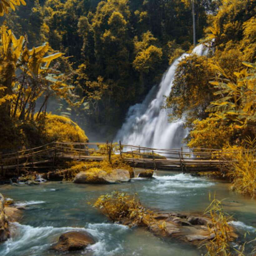 Eco-Friendly: Doi Inthanon & Pha Dok Siew Trekking Day Trip - The King’s and Queen’s Pagodas