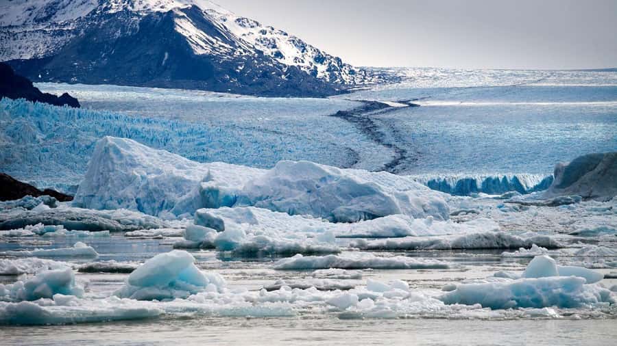 El Calafate: Glacier Cruise & Trekking at Estancia Cristina - Who will enjoy this day most