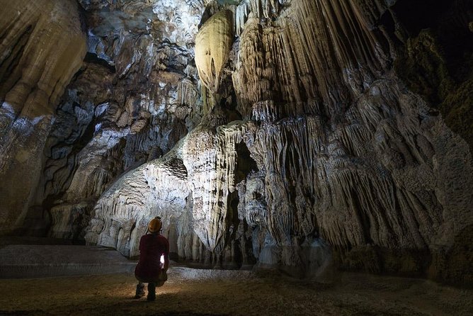 Elephant Cave and Ma Da Valley Jungle 1 Day Trek - A full day in Phong Nha-Ke Bang National Park