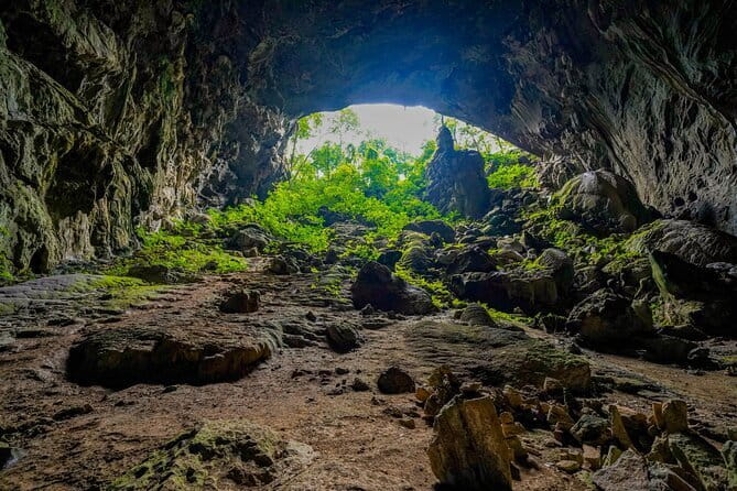 Elephant cave and Mada valley Jungle trek - 1Day - What this one-day jungle trek really offers
