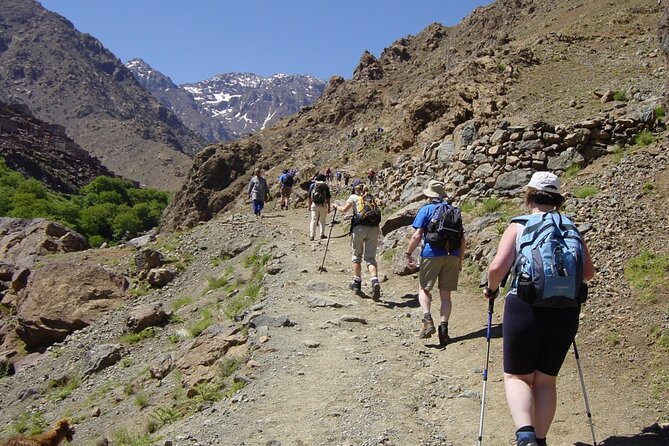 Elite Experience Atlas Mountains Day Trekking - From Marrakech to Imlil at 1,740 meters