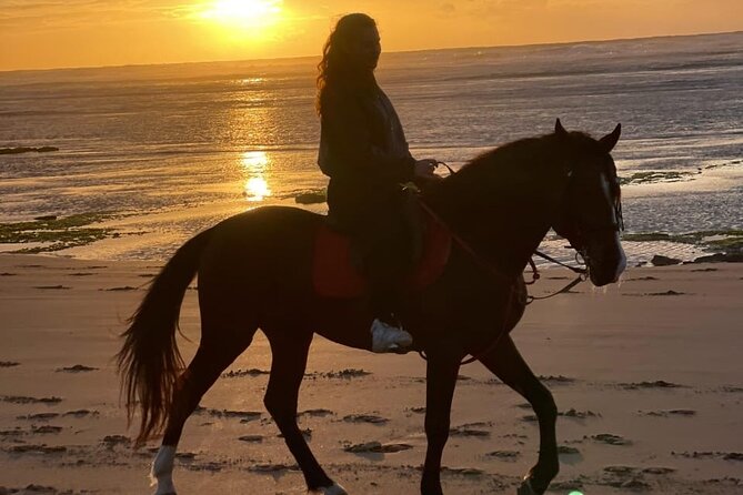 Essaouira Beach Horse Rides &Treks for All Levels - Riding out from Diabat toward the Atlantic