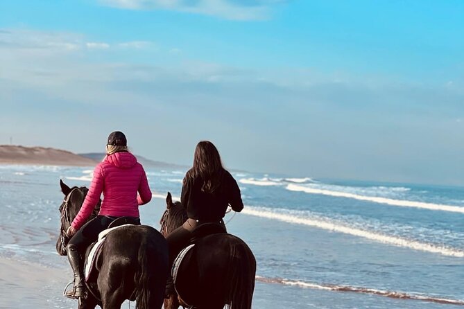 Essaouira Beach Horse Rides &Treks for All Levels - Photos, videos, and Moroccan tea