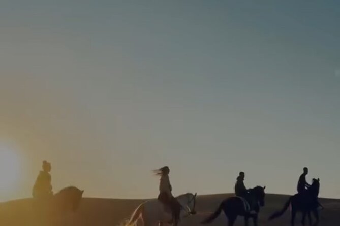 Essaouira Beach Horse Rides &Treks for All Levels - Is $23.24 good value for an hour?