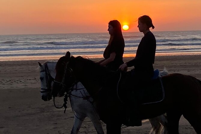 Essaouira Beach Horse Rides &Treks for All Levels - Practical details before you ride