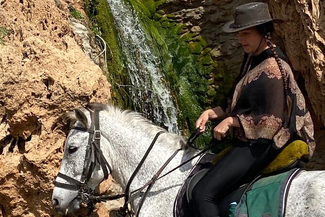 Essaouira Beach Horse Rides &Treks for All Levels - Who will enjoy this ride most?