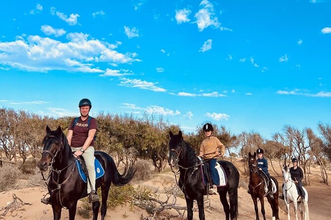 Essaouira Beach Horse Rides &Treks for All Levels - What makes the horses and guides important