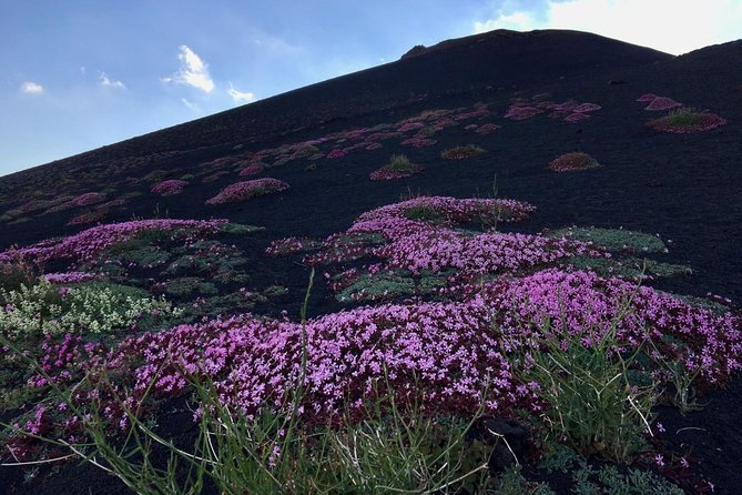 Etna Grantour - 4x4 & trekking - Private tour with lunch included - Inside a lava tube with a helmet and lights