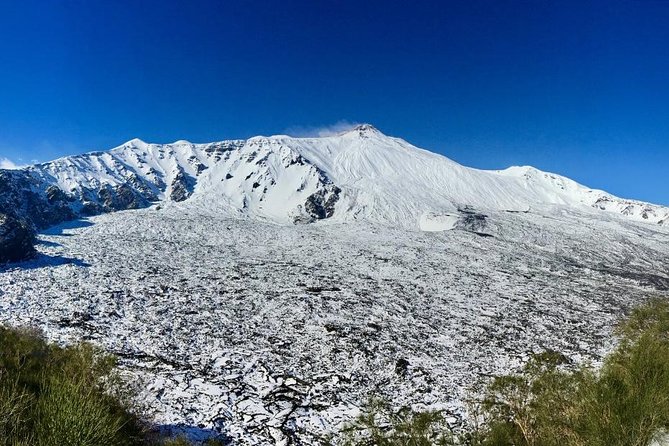 Etna Grantour - 4x4 & trekking - Private tour with lunch included - Is the price good value?
