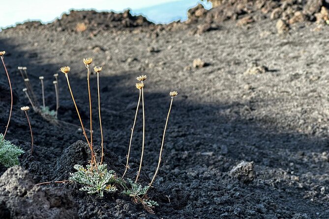 Etna Morning or Sunset - Trek & Lava Tunnel with Gear - Entering Via Grotta Lunga