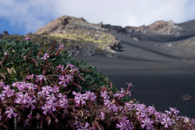 Etna's Hidden Gems - Trek Valle Bove & Lava Tunnel with Gear - Timing, meeting point, and weather