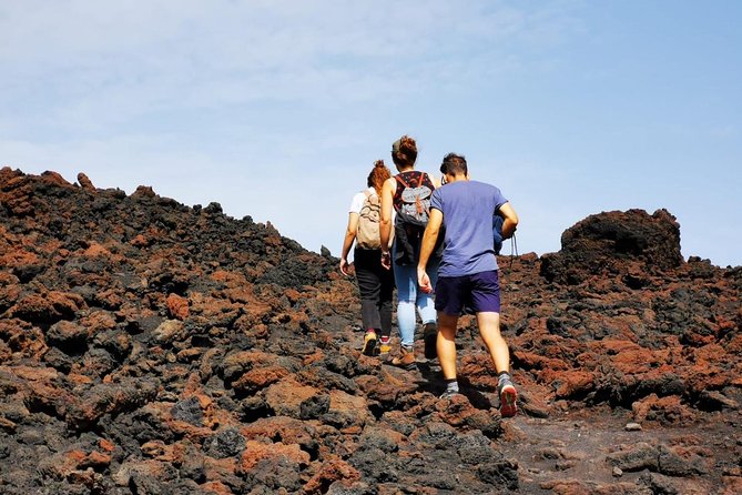 Etna trekking and wine tasting - Who will get the most from this Etna day