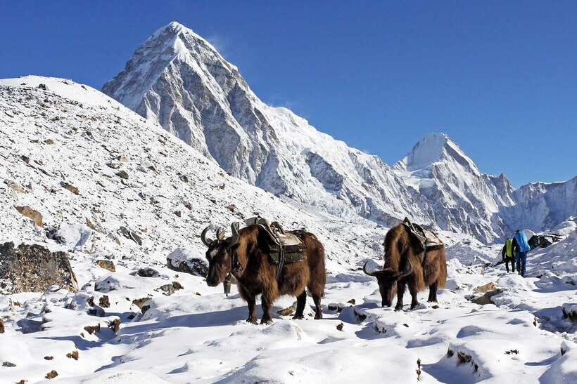 Everest Base Camp Short Trek- 12 Days - Everest Base Camp from Gorak Shep
