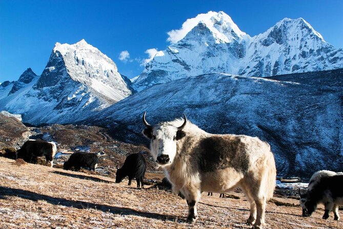 Everest Base camp Trek-12 days - Key points before you book