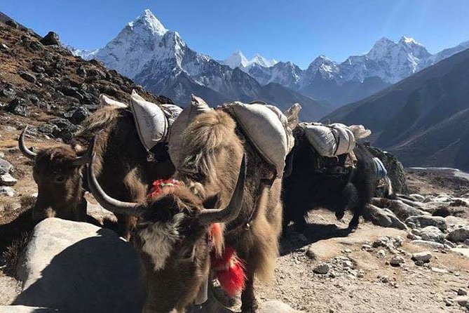 Everest Base Camp Trek 12 Days – Best Himalayan Adventure - Tengboche and the mountain views