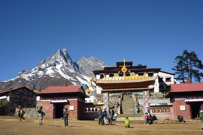 Everest Base Camp Trek 16 Days - The Dudh Koshi valley and rhododendron trails