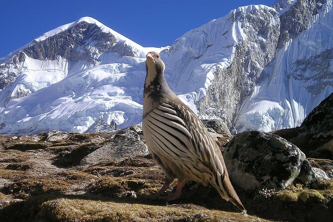 Everest Base Camp Trek with Kathmandu Valley Sightseeing Tour - The upper valleys demand patience