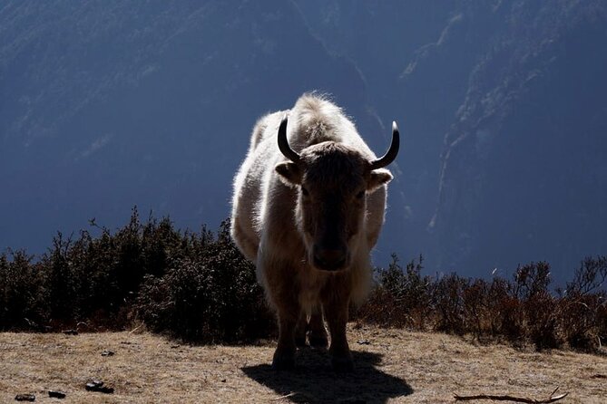 Everest Base Camp Trekking - 2025/2026 - Meals, lodges, and the daily routine