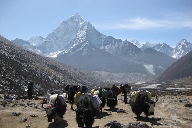 Everest Three (High) Passes Trekking - Renjo La and Gokyo Ri: demanding highlights