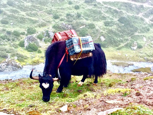 Everest View Trek - 7 Days - Returning through Phakding and Lukla
