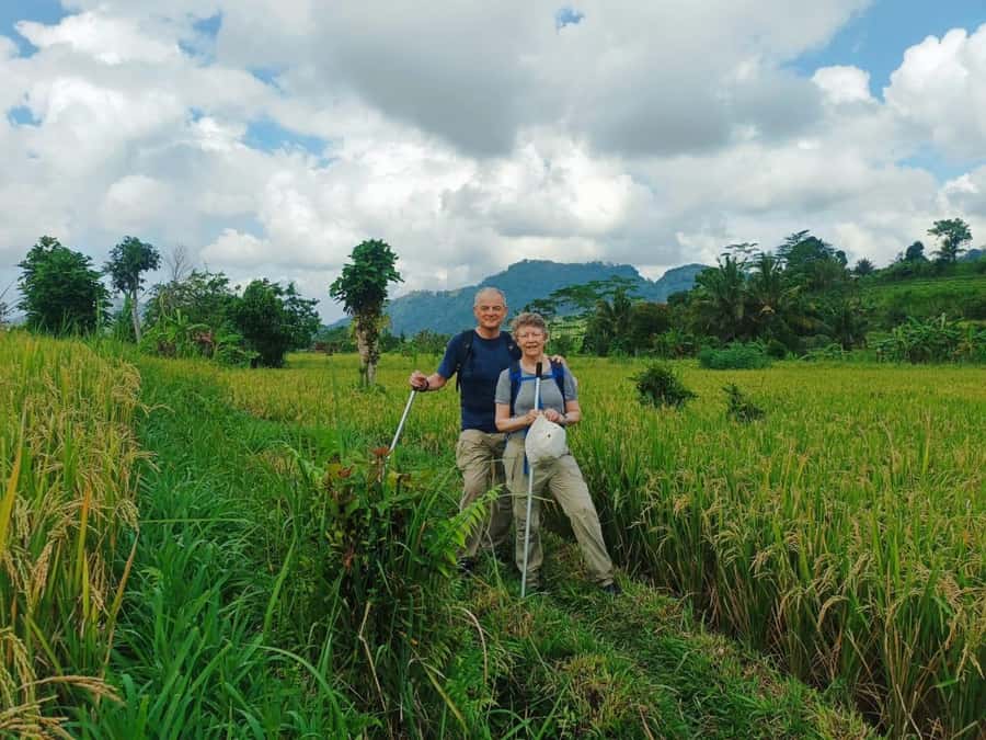 Explore rice terraces munduk & waterfall trekking experience - Walking through Munduk’s rice terraces