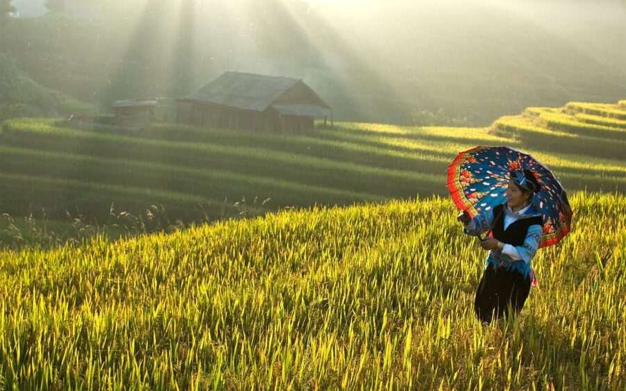 Explore Sa Pa with Overnight Train & Sleeper Bus & Trekking - Why this Sa Pa trip works well for a short visit