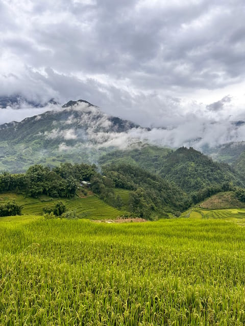 Explore Sapa by TrekkingAdventures, Mountain,Rice fields - Why this Sapa trek feels personal