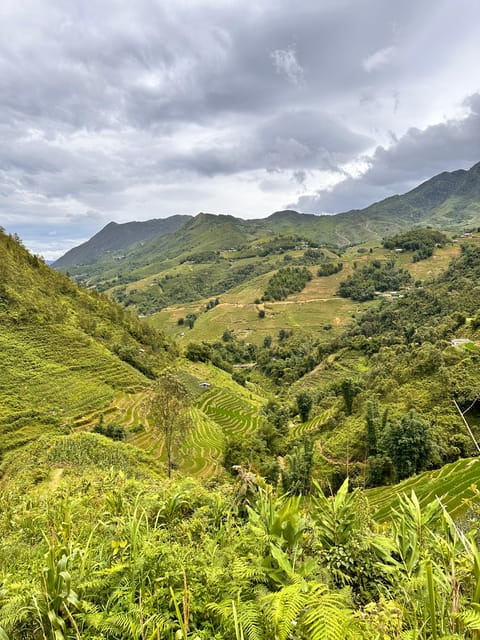 Explore Sapa by TrekkingAdventures, Mountain,Rice fields - The final walk to Ta Van and the Dzay community