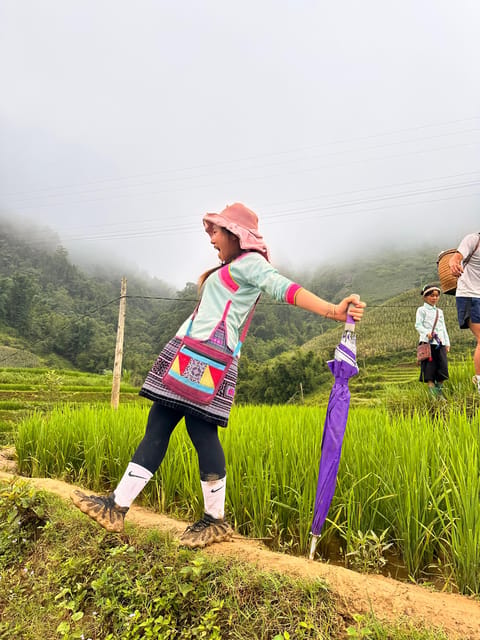 Explore Sapa by TrekkingAdventures, Mountain,Rice fields - Choosing between the easy and hard routes
