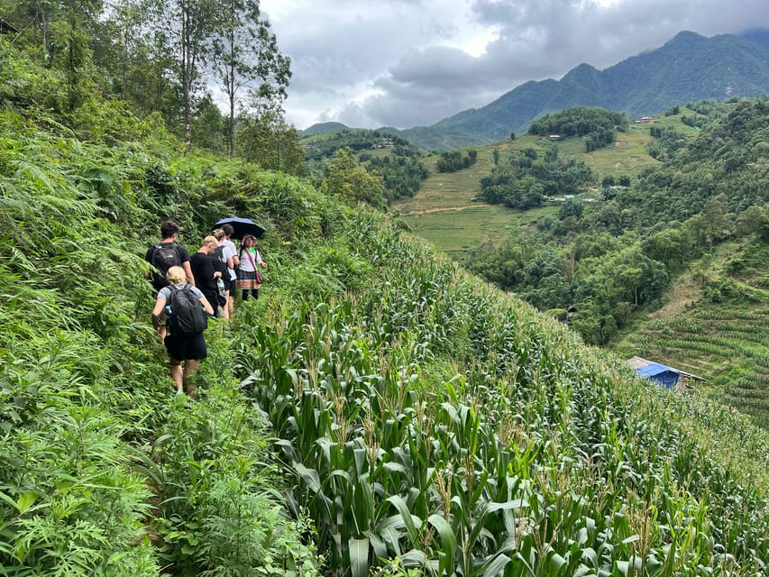 Explore Sapa by TrekkingAdventures, Mountain,Rice fields - Downhill to Y Linh Ho and the first rice terraces