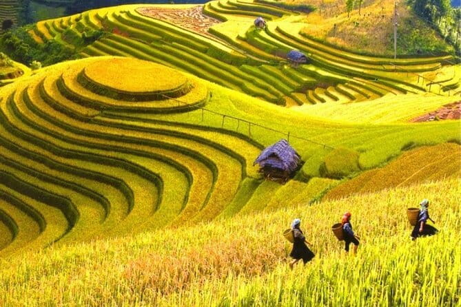 Fansipan Mountain, Cat Cat Village, Rice Terrace 2 Day Sapa Tour - What the guide can add to the village walk